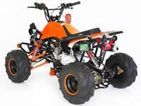 110cc mini atv rebel t1